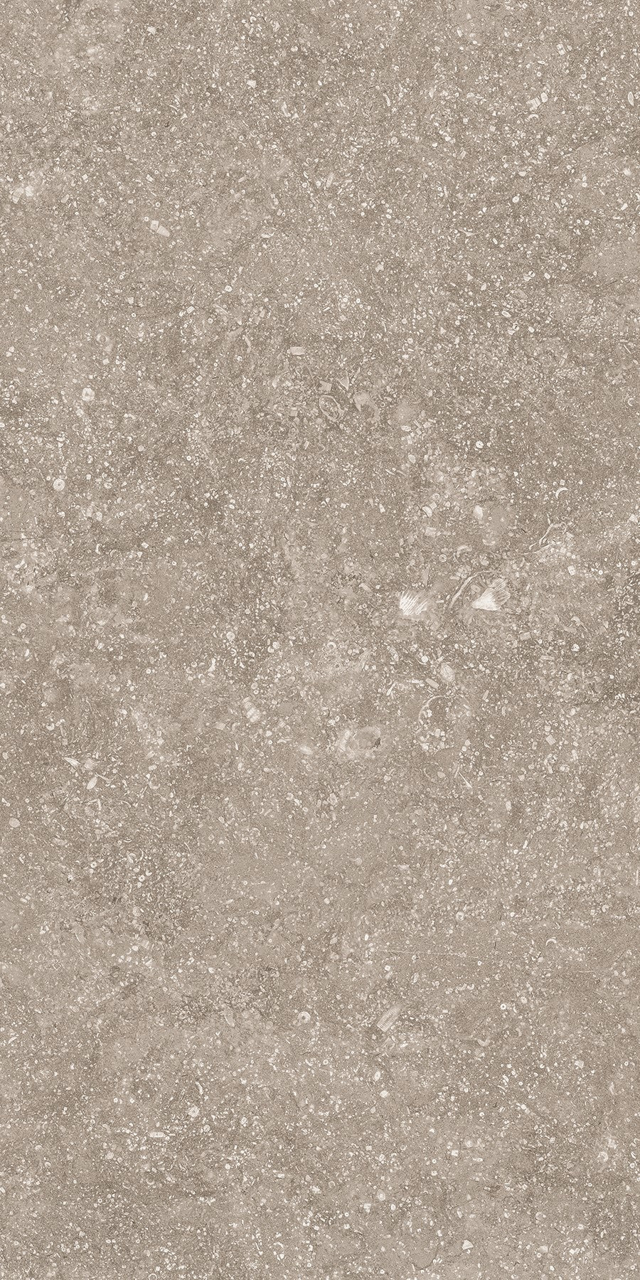 Crossville Beljn 12" x 24" Porcelain Tile