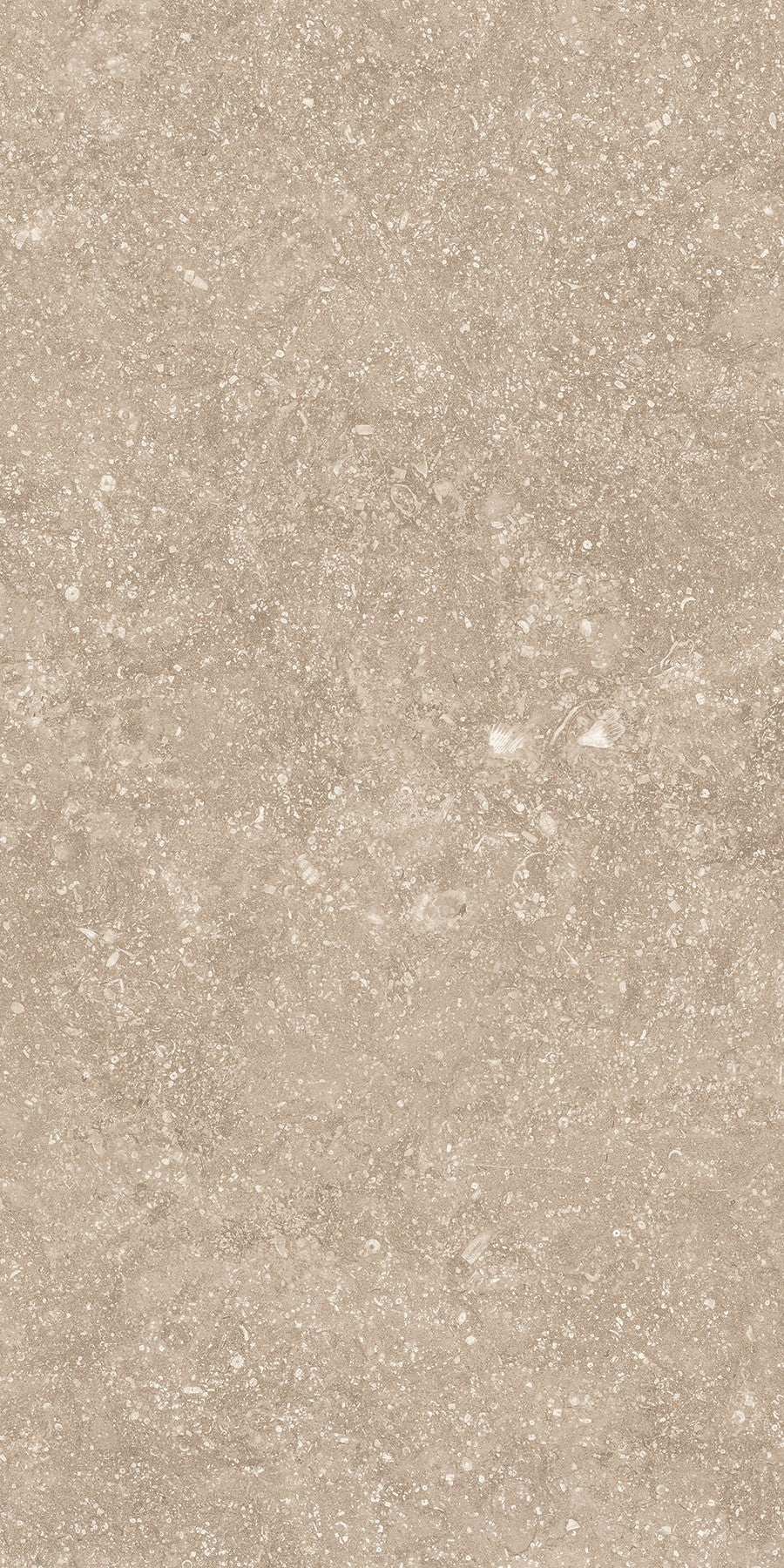Crossville Beljn 12" x 24" Porcelain Tile