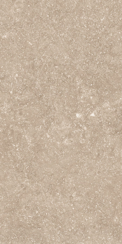 Crossville Beljn 12" x 24" Porcelain Tile