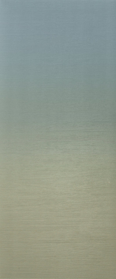 Emser Spectra 20" x 47" Ceramic Tile