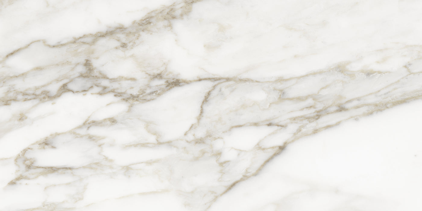 Tesoro La Marca 12" x 24" Porcelain Tile
