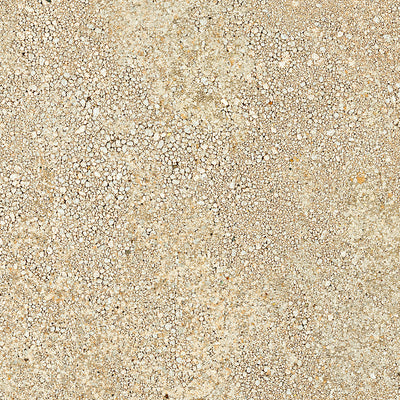 Emser Levata Slim 23" x 23" Porcelain Tile