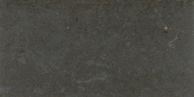 Aspire Stone Limestone 12" x 24" Limestone Tile