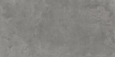 Milestone Lith 24" x 48" Porcelain Tile