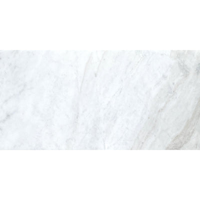 Patara Stone Marble 12" x 24" Marble Tile