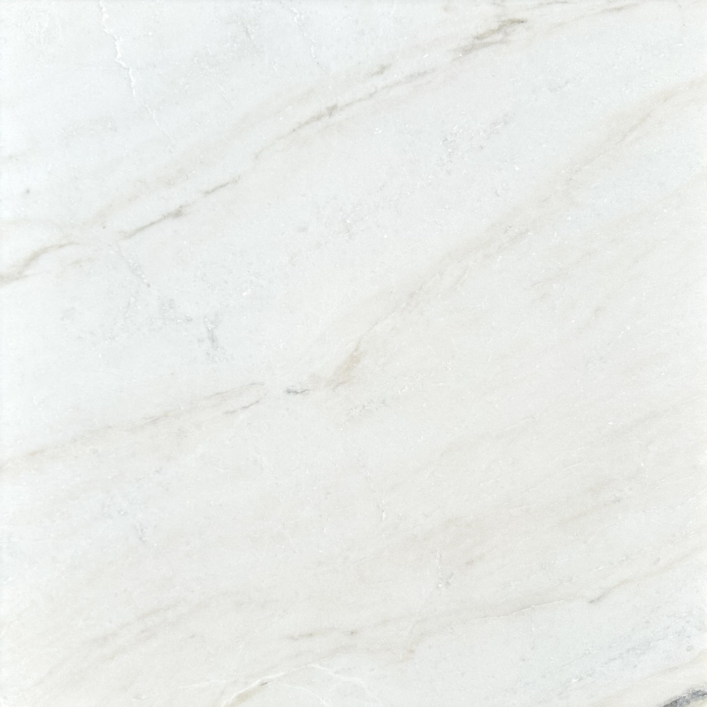 Patara Stone Marble 24" x 24" Marble Tile