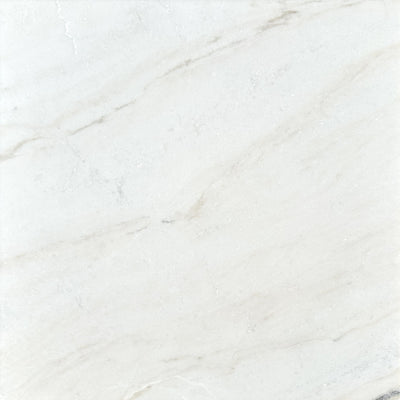 Patara Stone Marble 24" x 24" Marble Tile