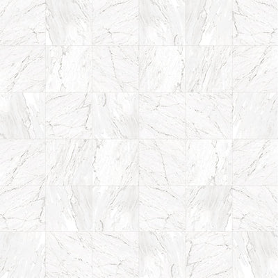 Floors 2000 Marbles 2 x 2 12" x 12" Porcelain Mosaic Carrara White Matte