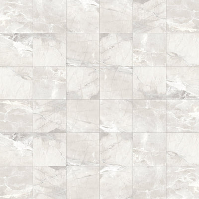 Milestone Absolute 2 x 2 12" x 12" Porcelain Mosaic