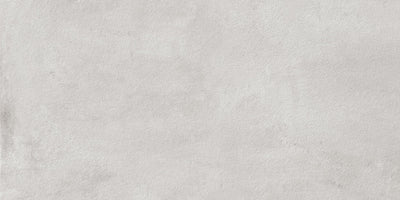 Milestone Imprint 24" x 48" Porcelain Tile