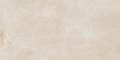 Milestone Imprint 24" x 48" Porcelain Tile