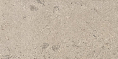 Milestone Lith 24" x 48" Porcelain Tile