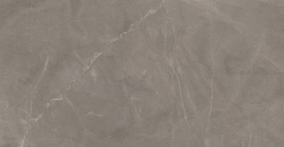 Milestone Luxury 24" x 48" Porcelain Tile