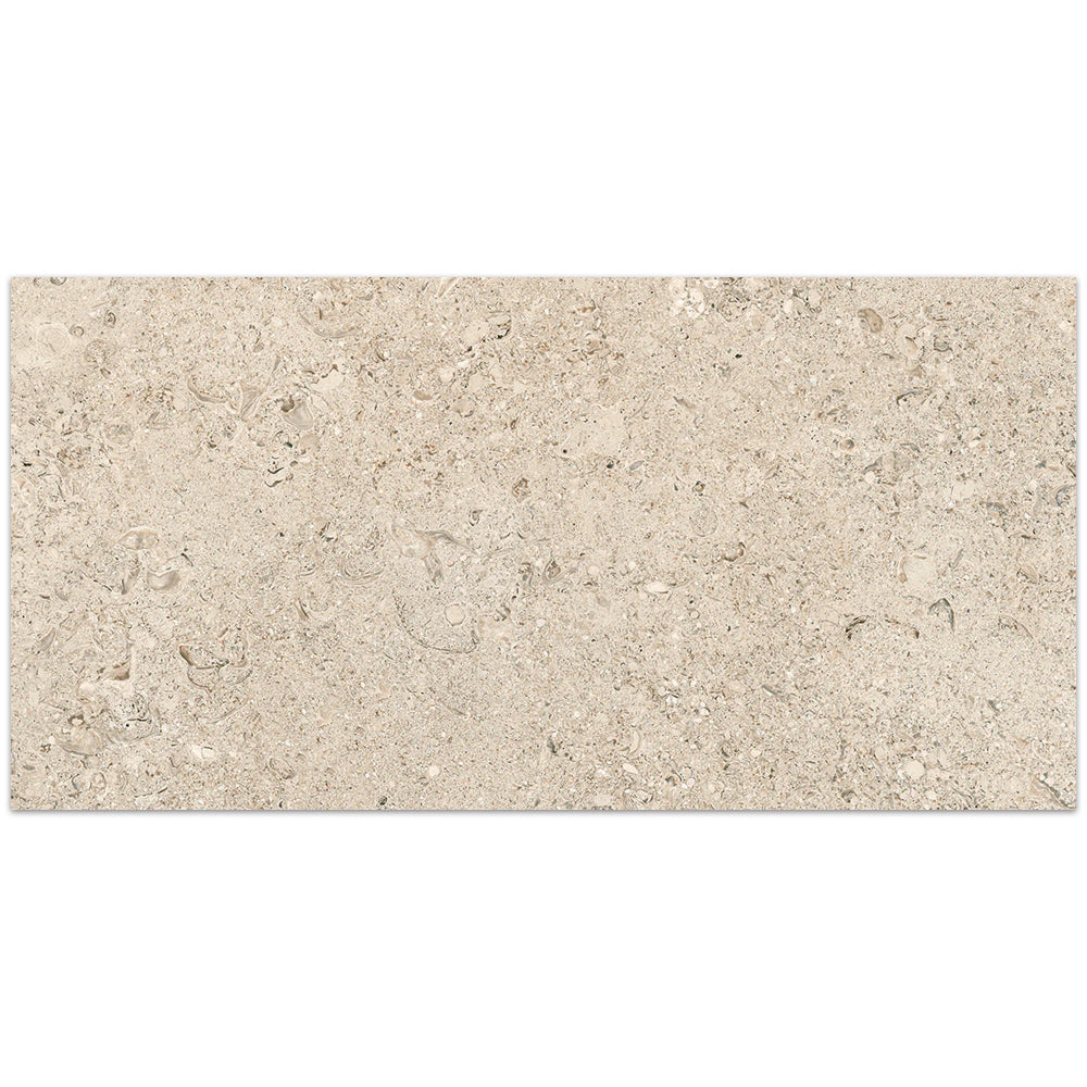 Tesoro Shellstone 24" x 24" Porcelain Tile