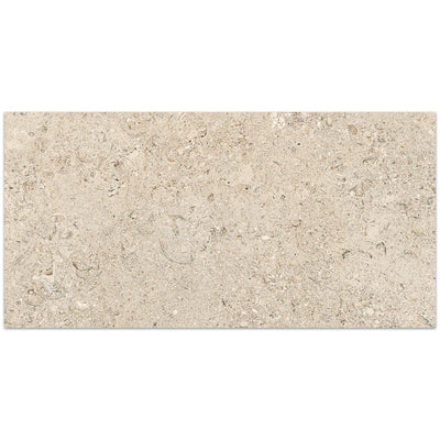 Tesoro Shellstone 24" x 24" Porcelain Tile