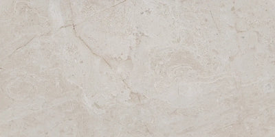 Aspire Stone Marble 12" x 24" Marble Tile
