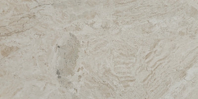 Aspire Stone Marble 12" x 24" Marble Tile