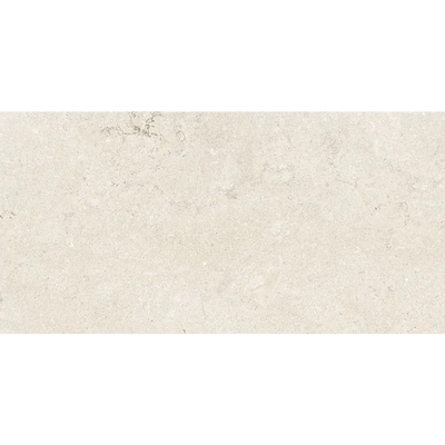 Arizona Tile Borgo 12" x 24" Porcelain Tile