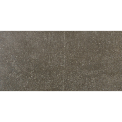 Crossville Notorious 12" x 24" Porcelain Tile