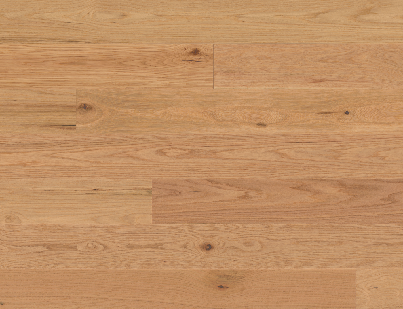 Monarch Plank Vinland 7" x RL Hardwood Plank