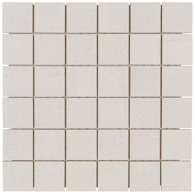 Tesoro Adrock 2 x 2 12" x 12" Porcelain Mosaic