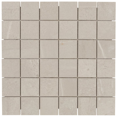 Tesoro Adrock 2 x 2 12" x 12" Porcelain Mosaic