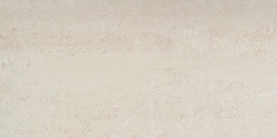 Emser Prodigy 12" x 24" Porcelain Tile