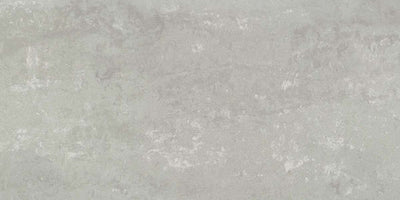 Emser Prodigy 12" x 24" Porcelain Tile