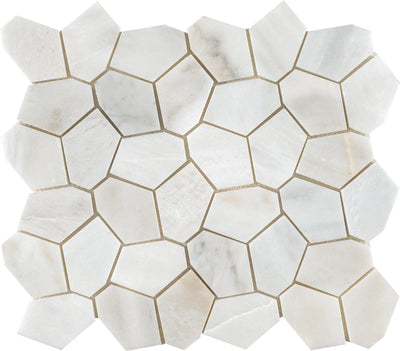 Aspire Stone Polygon Pebbles 10" x 12" Marble Mosaic