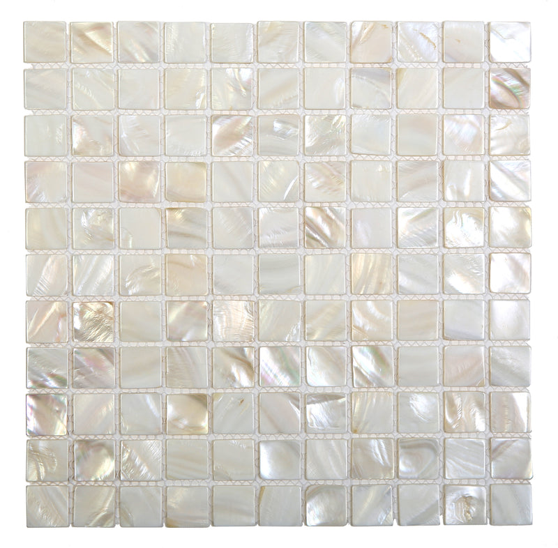 Ottimo Ceramics Shell 1" Square 12" x 12" Oyster Shell Mosaic