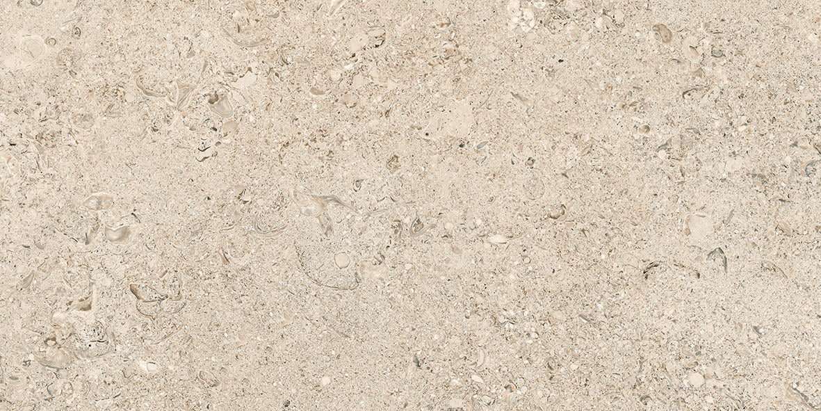 Tesoro Shellstone 12" x 24" Porcelain Tile