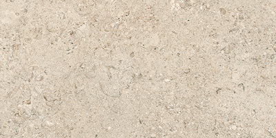 Tesoro Shellstone 24" x 48" Porcelain Tile