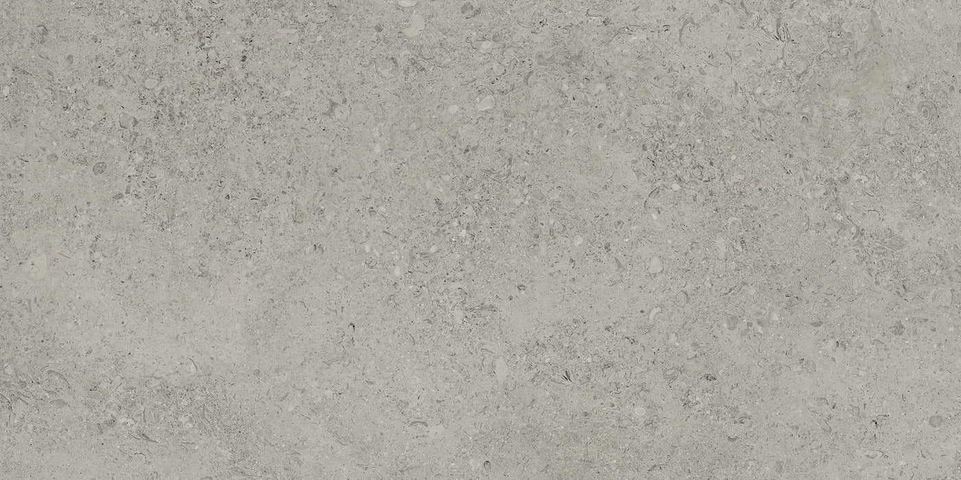 Tesoro Shellstone 24" x 48" Porcelain Tile