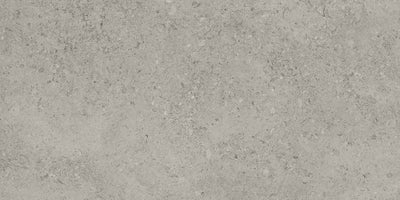 Tesoro Shellstone 24" x 48" Porcelain Tile