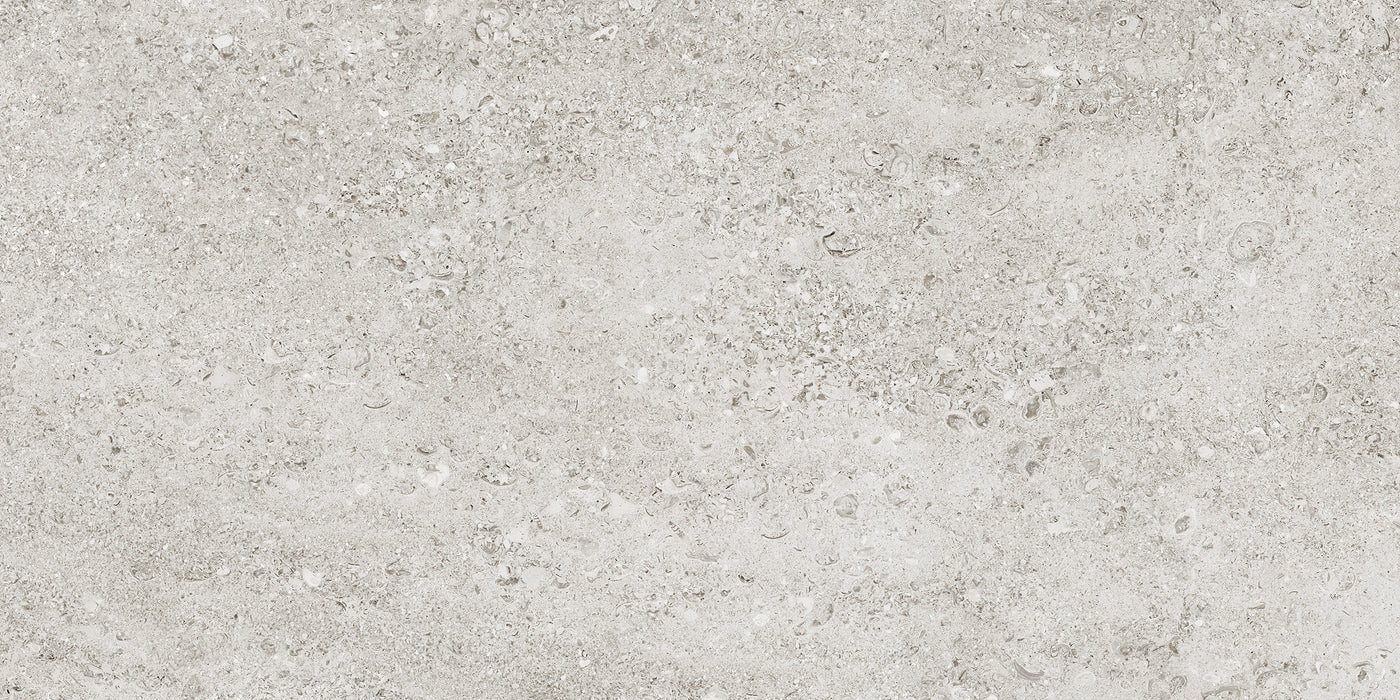 Tesoro Shellstone 12" x 24" Porcelain Tile