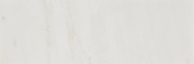 Aspire Stone Studio 3" x 9" Marble Tile
