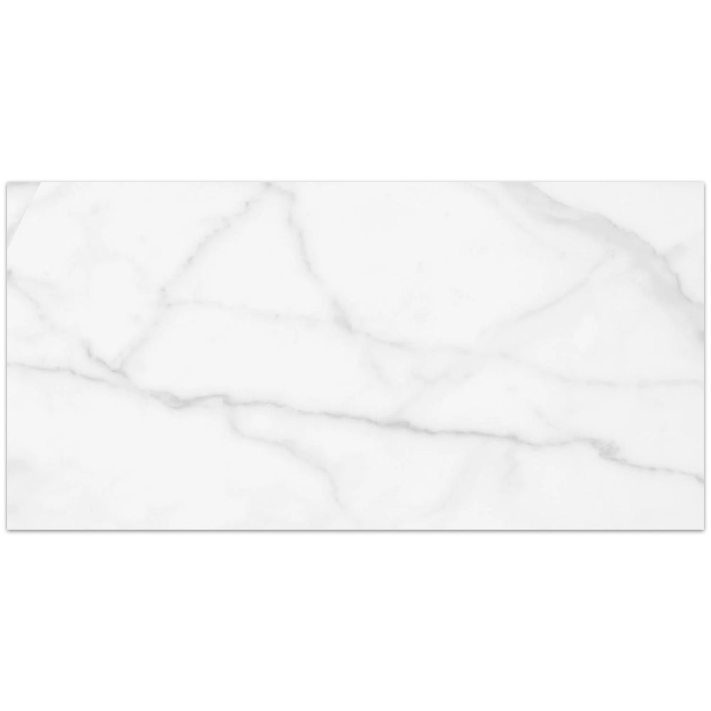 Tesoro Terreno Plain 12" x 24" Ceramic Tile