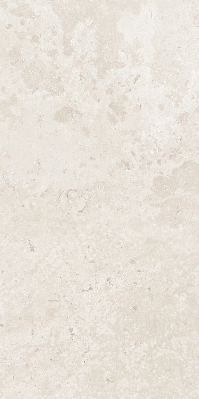 Happy Floors Timeless 24" x 48" Porcelain Tile