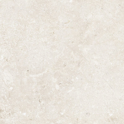 Happy Floors Timeless 24" x 24" Porcelain Tile