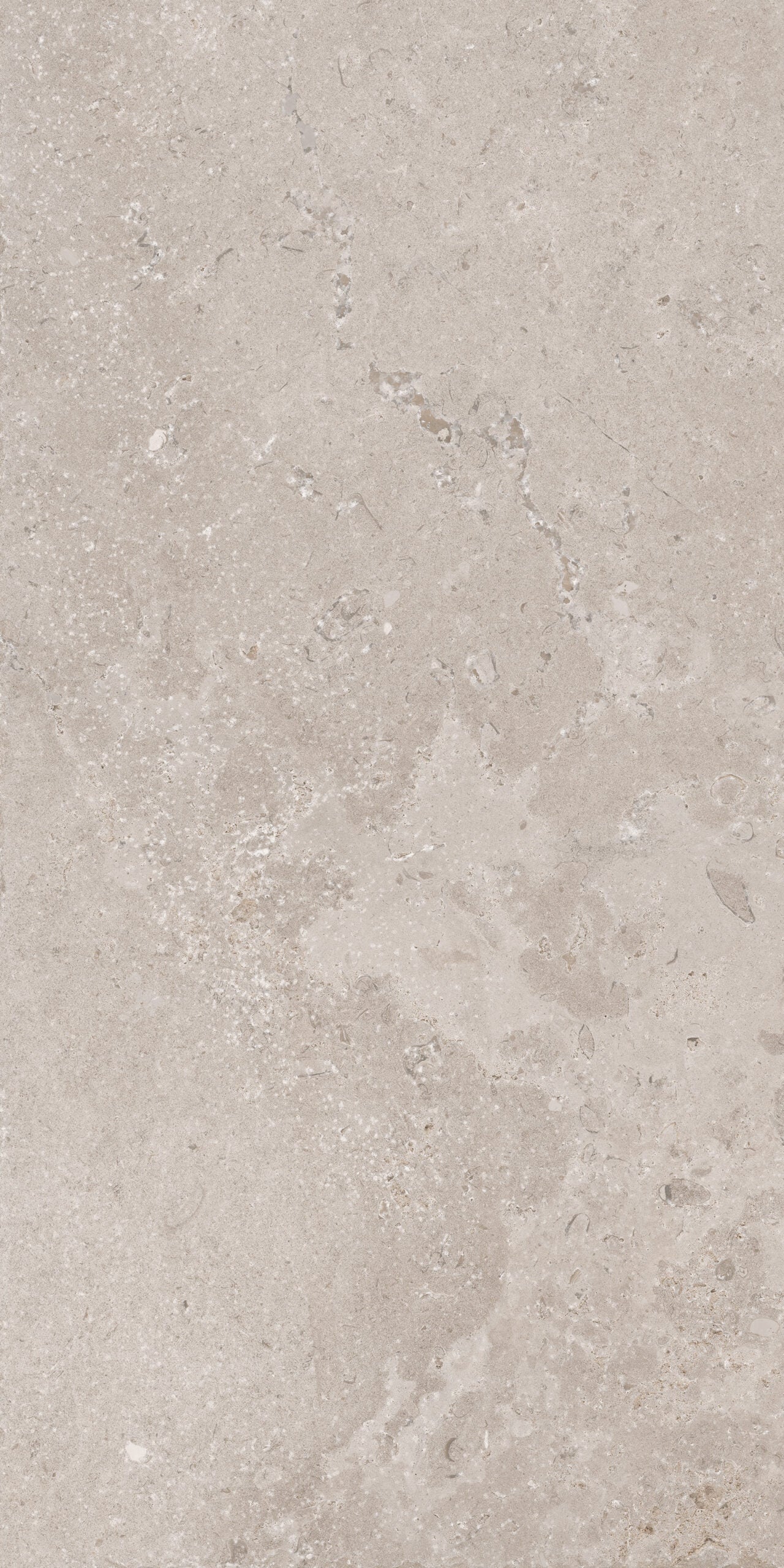 Happy Floors Timeless 12" x 24" Porcelain Tile