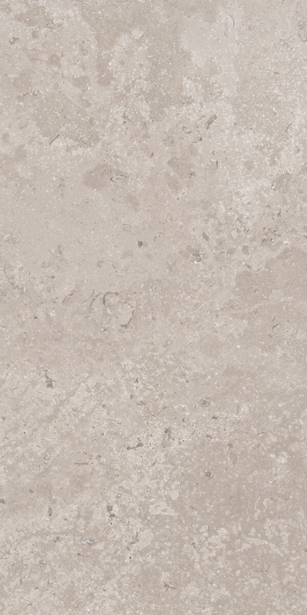 Happy Floors Timeless 24" x 48" Porcelain Tile