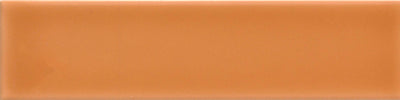 Emser Triveni 2" x 8" Ceramic Tile