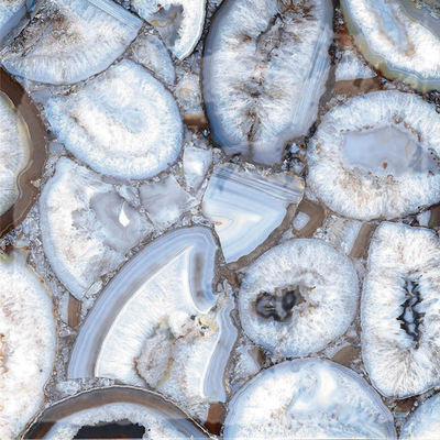 QDI Surfaces Tropical 6" x 6" Porcelain Tile