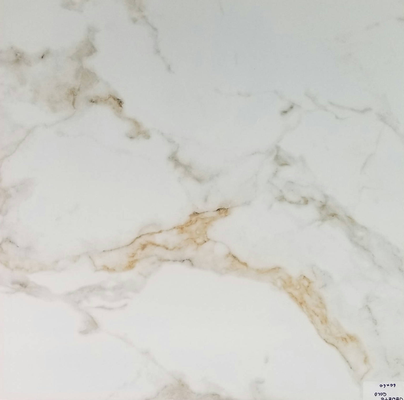 Alfagres Veneto 24" x 48" Porcelain Tile