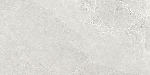 Tesoro Advance 12" x 24" Porcelain Tile