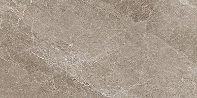 Tesoro Advance 12" x 24" Porcelain Tile