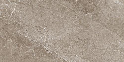 Tesoro Advance 36" x 36" Porcelain Tile