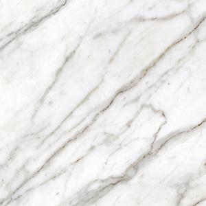 Tesoro Galia 24" x 24" Porcelain Tile