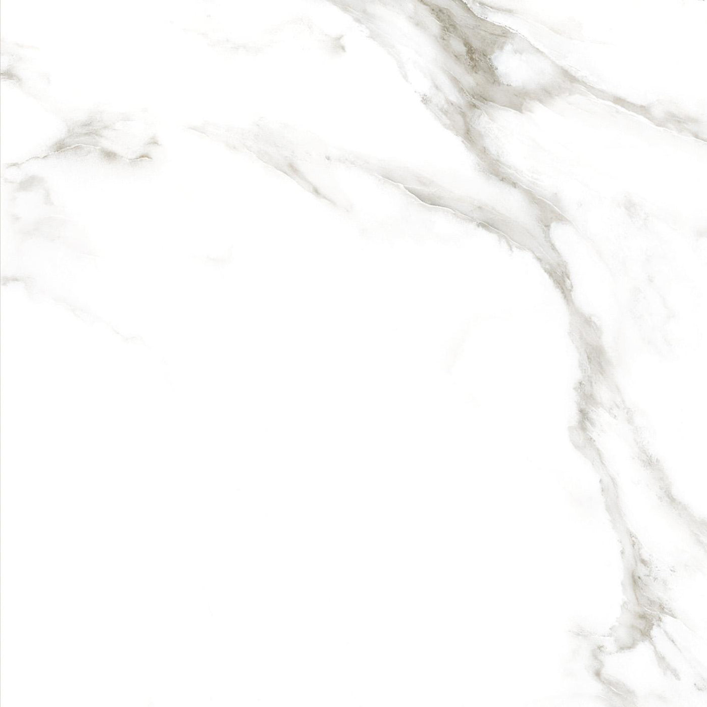 Tesoro Larsen 12" x 24" Porcelain Tile