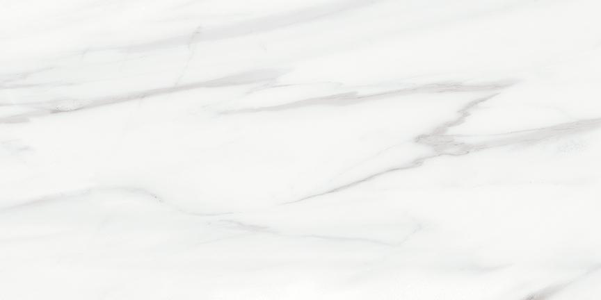 Tesoro Lucca 24" x 48" Porcelain Tile